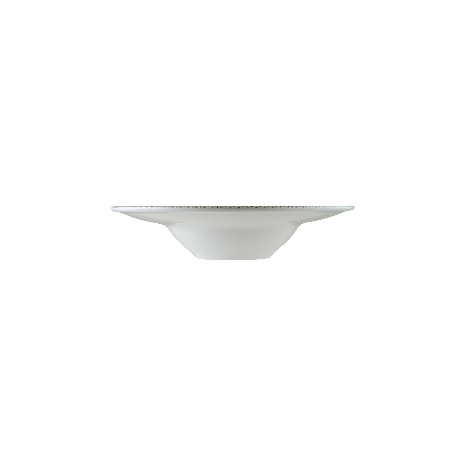 Sway Porcelain Wide Rim Bowl Decorated Round 11″ x 11″ x 2.5″  16 oz. CasePack:6